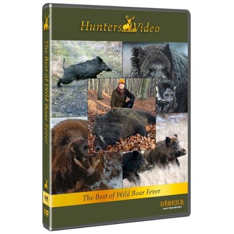 Hunters video - 95- the best of wild boar feve