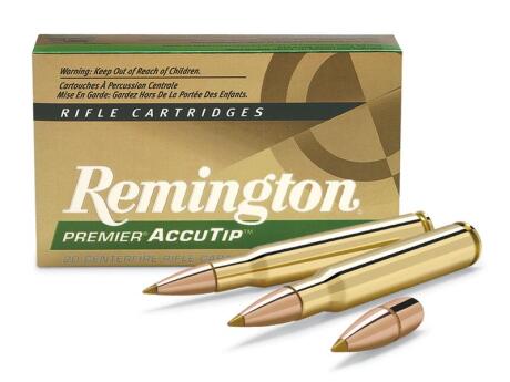 Remington - 308Win Accutip 165 Gr